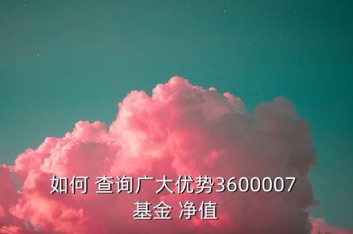 如何 查詢廣大優(yōu)勢3600007 基金 凈值