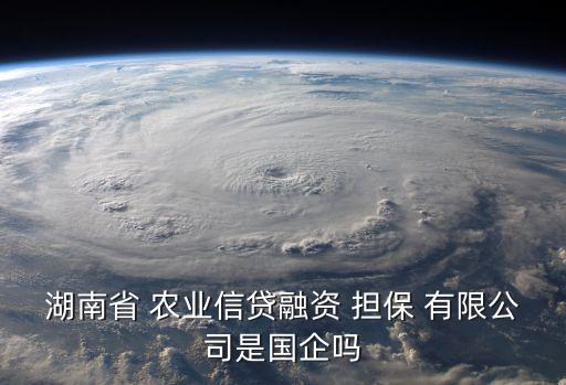 湖南省 農(nóng)業(yè)信貸融資 擔(dān)保 有限公司是國企嗎