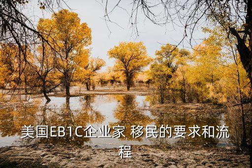 是美國公司的大股東可以移民嗎