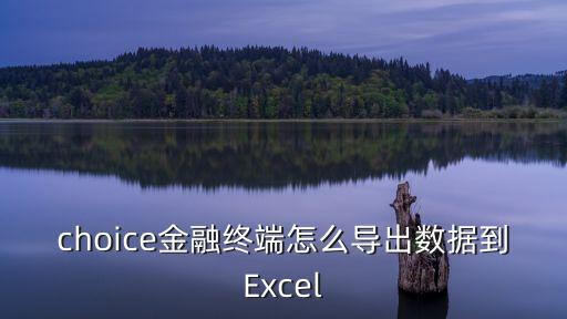 choice金融終端怎么導(dǎo)出數(shù)據(jù)到Excel