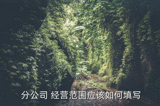  分公司 經(jīng)營范圍應(yīng)該如何填寫