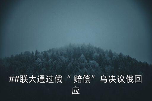 ##聯(lián)大通過(guò)俄“ 賠償”烏決議俄回應(yīng)