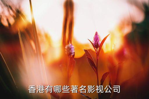 香港有哪些著名影視公司