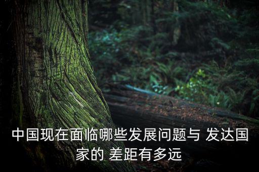 中國現(xiàn)在面臨哪些發(fā)展問題與 發(fā)達(dá)國家的 差距有多遠(yuǎn)