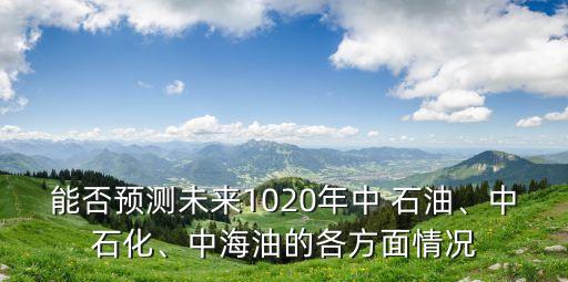 能否預(yù)測(cè)未來(lái)1020年中 石油、中石化、中海油的各方面情況