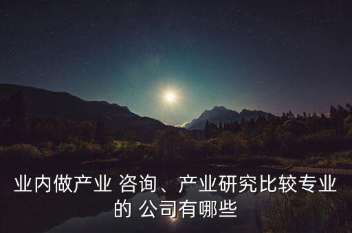 業(yè)內(nèi)做產(chǎn)業(yè) 咨詢、產(chǎn)業(yè)研究比較專業(yè)的 公司有哪些