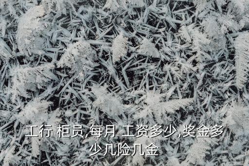 工行 柜員,每月 工資多少,獎(jiǎng)金多少幾險(xiǎn)幾金