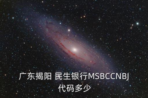 廣東揭陽 民生銀行MSBCCNBJ 代碼多少