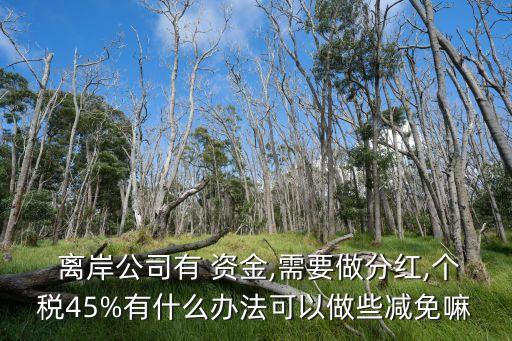  離岸公司有 資金,需要做分紅,個(gè)稅45%有什么辦法可以做些減免嘛