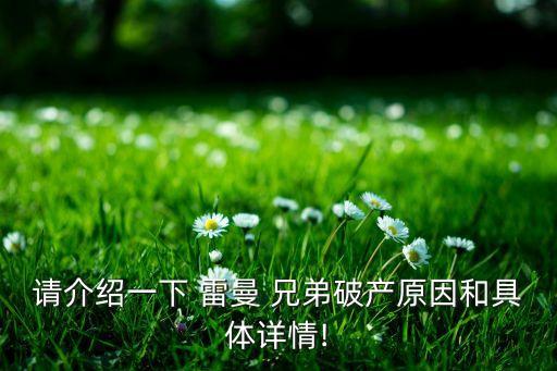 請(qǐng)介紹一下 雷曼 兄弟破產(chǎn)原因和具體詳情!