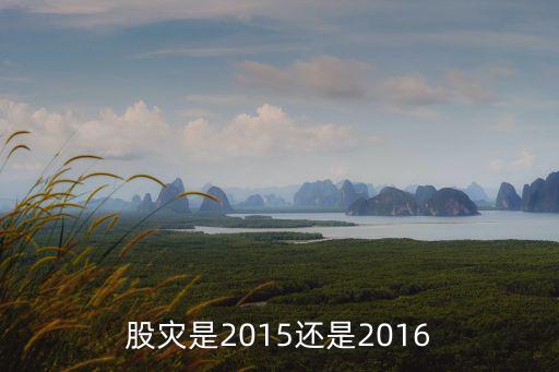 股災是2015還是2016