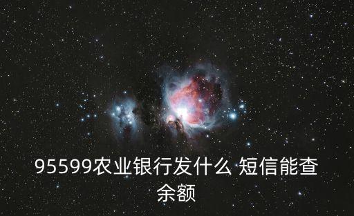 95599農(nóng)業(yè)銀行發(fā)什么 短信能查余額