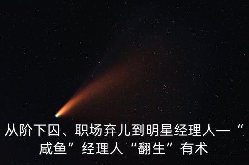 從階下囚、職場棄兒到明星經(jīng)理人—“咸魚”經(jīng)理人“翻生”有術