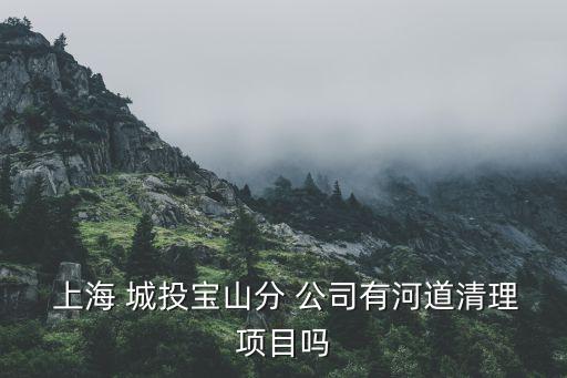  上海 城投寶山分 公司有河道清理項(xiàng)目嗎