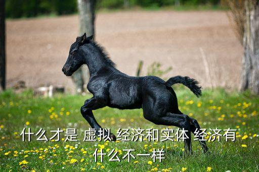 什么才是 虛擬 經(jīng)濟和實體 經(jīng)濟有什么不一樣