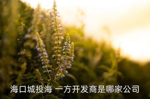 海口城投海 一方開(kāi)發(fā)商是哪家公司