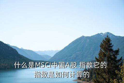 什么是MSCI中國(guó)A股 指數(shù)它的 指數(shù)是如何計(jì)算的