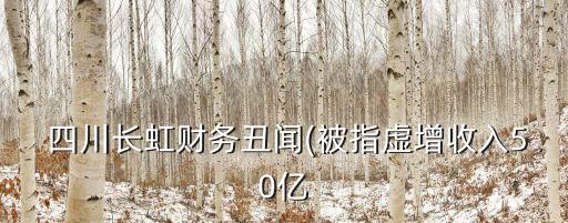  四川長虹財務丑聞(被指虛增收入50億