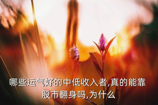 中國股市不成熟,中國不成熟的行業(yè)