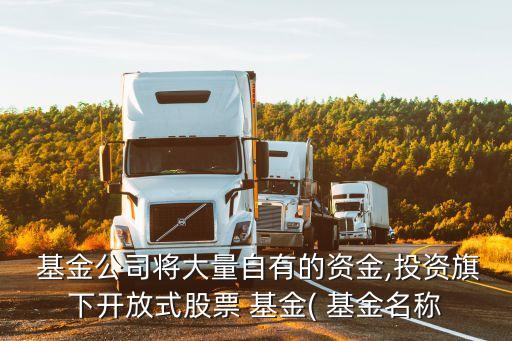  基金公司將大量自有的資金,投資旗下開放式股票 基金( 基金名稱