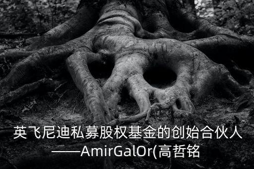  英飛尼迪私募股權(quán)基金的創(chuàng)始合伙人——AmirGalOr(高哲銘