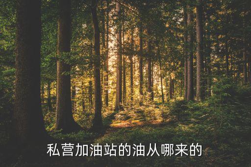 中國私人公司這么獲得石油開采