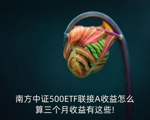 南方中證500ETF聯(lián)接A收益怎么算三個月收益有這些!