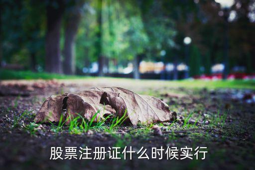 股票注冊(cè)制最新消息,股票全面注冊(cè)制什么時(shí)間開始