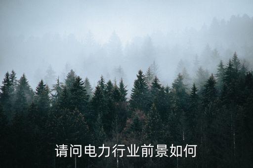 請(qǐng)問(wèn)電力行業(yè)前景如何