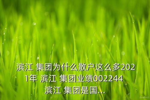  濱江 集團為什么散戶這么多2021年 濱江 集團業(yè)績002244 濱江 集團是國...