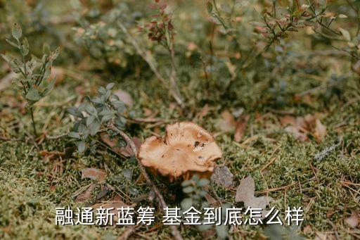 融通新藍籌 基金到底怎么樣