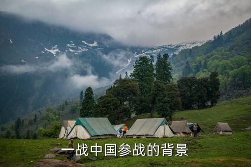 一戰(zhàn)中國參戰(zhàn)的背景