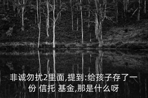 非誠勿擾2里面,提到:給孩子存了一份 信托 基金,那是什么呀