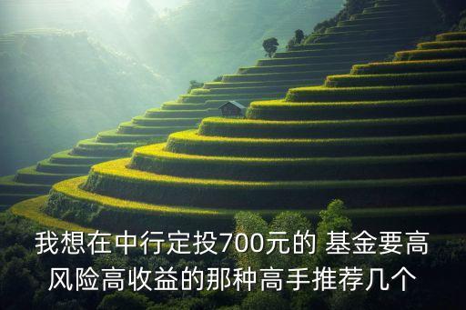 我想在中行定投700元的 基金要高風(fēng)險高收益的那種高手推薦幾個