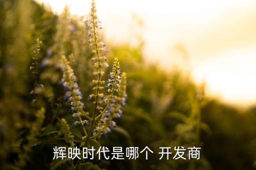 蘭州辰光房地產(chǎn)開發(fā)有限公司,蘭州碧桂園房地產(chǎn)開發(fā)有限公司