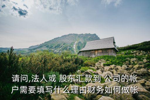 請問,法人或 股東匯款到 公司的帳戶需要填寫什么理由財(cái)務(wù)如何做帳