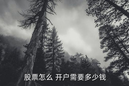  股票怎么 開戶需要多少錢