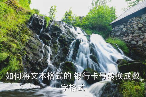 如何將文本格式的 銀行卡號轉(zhuǎn)換成數(shù)字格式