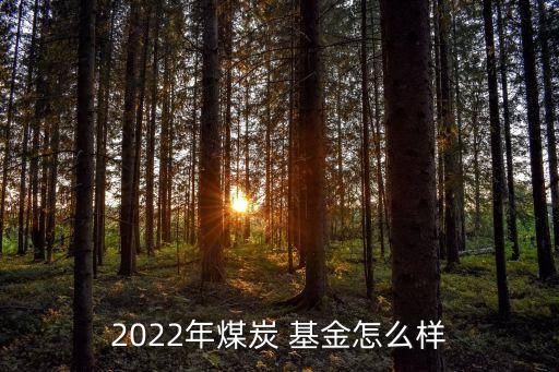 2022年煤炭 基金怎么樣