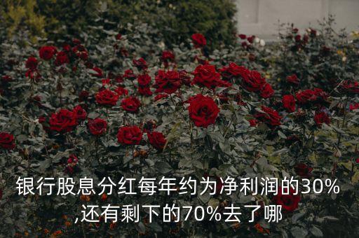 銀行股息分紅每年約為凈利潤的30%,還有剩下的70%去了哪