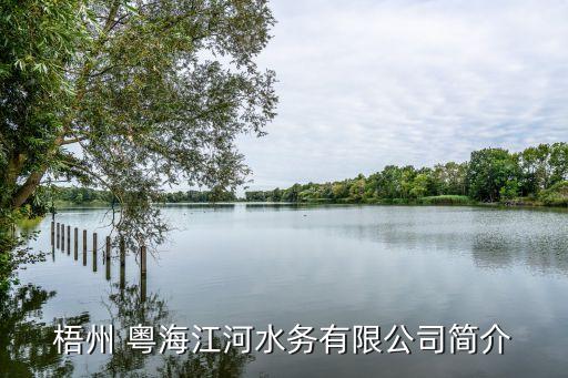 粵海集團戰(zhàn)略目標,旺旺集團戰(zhàn)略目標