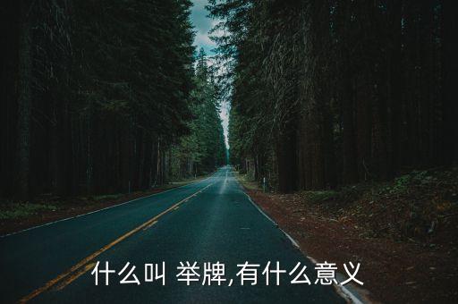 什么叫 舉牌,有什么意義