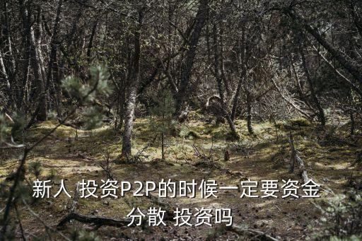 p2p平臺(tái)分散投資