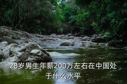 28歲男生年薪200萬左右在中國處于什么水平