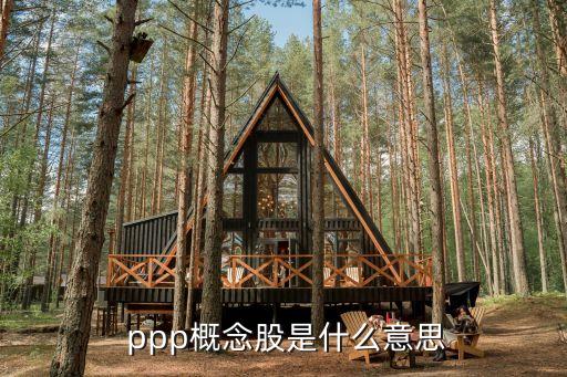  ppp概念股是什么意思