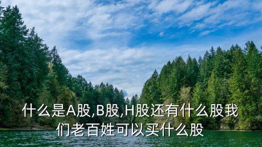 什么是A股,B股,H股還有什么股我們老百姓可以買(mǎi)什么股