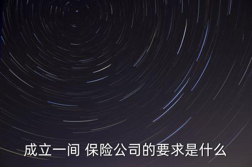 成立一間 保險公司的要求是什么