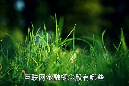 互聯(lián)網(wǎng)金融概念股有哪些