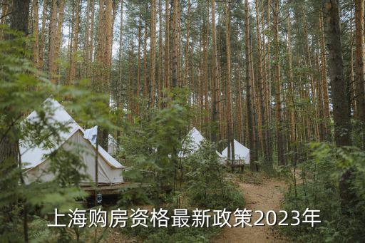  上海購(gòu)房資格最新政策2023年