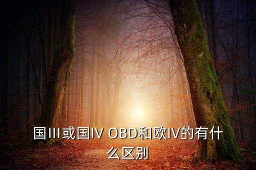 國Ⅲ或國IV OBD和歐IV的有什么區(qū)別